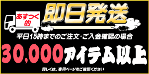 受注13時までアメ車パーツがあすつく的なスピード配送　